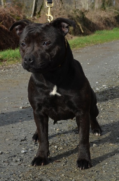 F'sun is up dite fergie De karysha