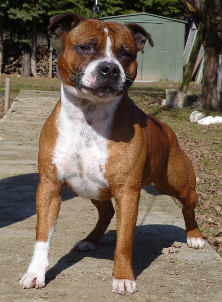 Down slow destiny's ch. De karysha